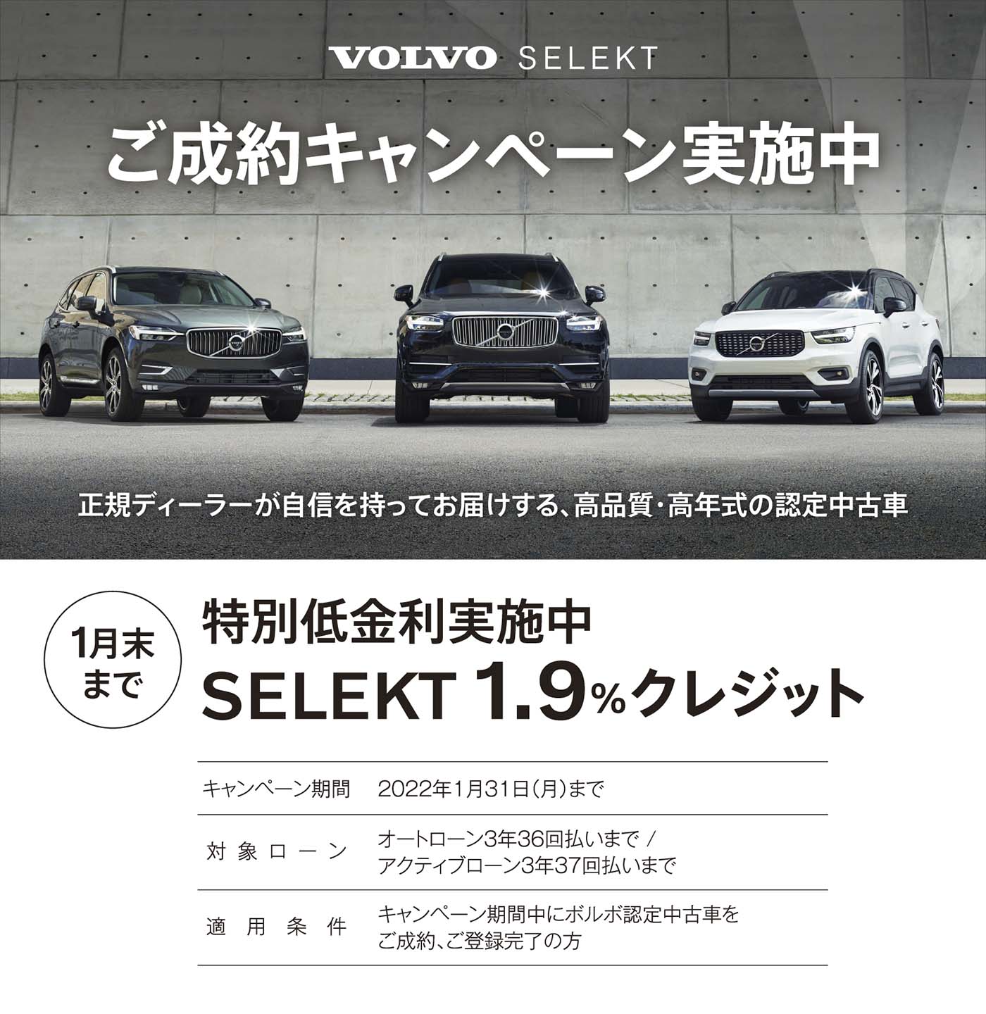 中古車最新情報 ボルボ カー 越谷 中古車最新情報 ボルボ カー 越谷